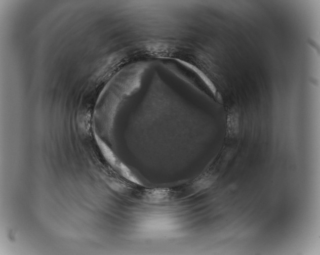 X0000102240671200808081438