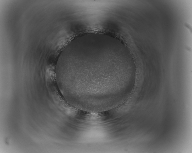 X0000102240672200808081438