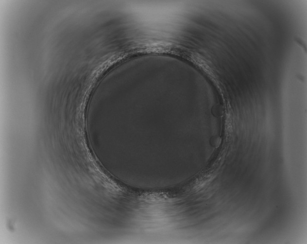 X0000102240673200808081437