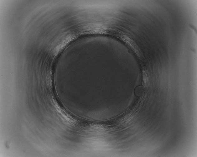 X0000102240677200808081437