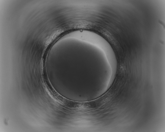 X0000102240678200808081437