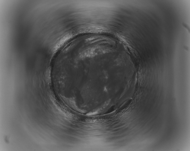 X0000102240679200808081437