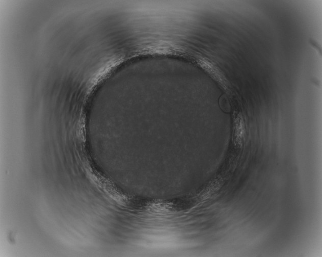 X0000102240680200808081437