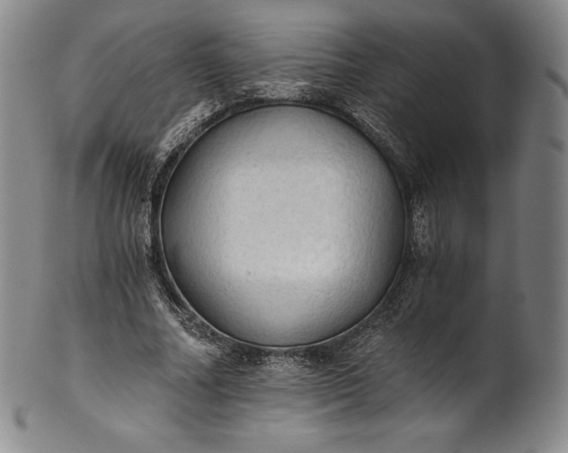 X0000102240682200808081437