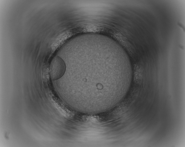 X0000102240683200808081437