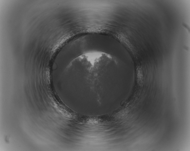 X0000102240684200808081437