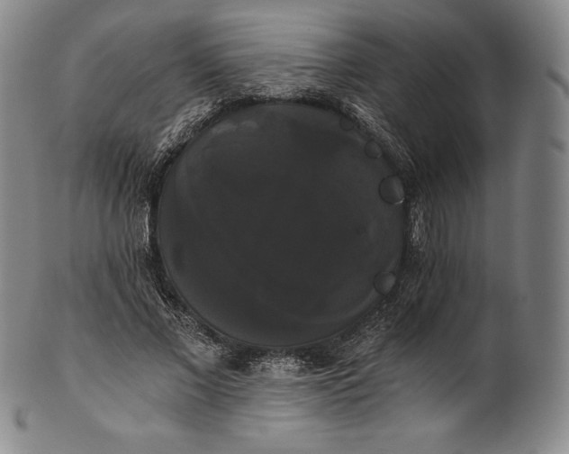 X0000102240685200808081437