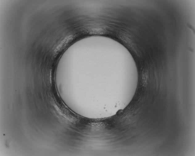 X0000102240686200808081437