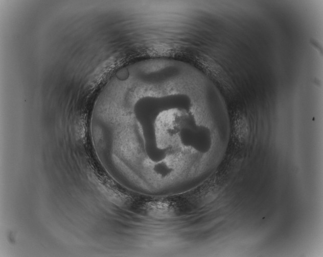 X0000102240687200808081437