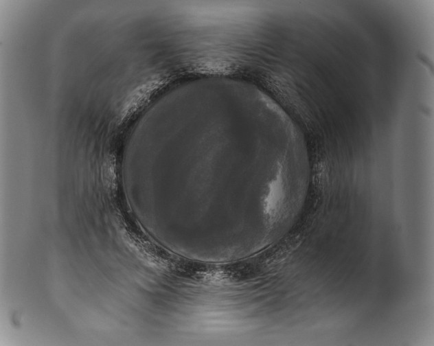 X0000102240688200808081437