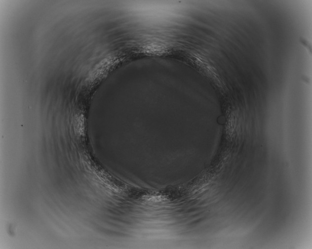 X0000102240689200808081436