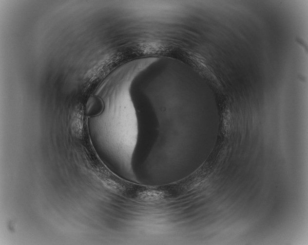 X0000102240691200808081436