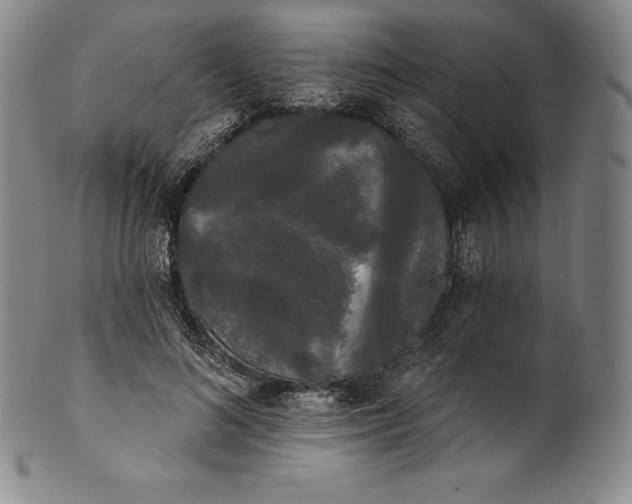 X0000102240692200808081436