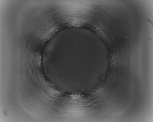 X0000102240693200808081436