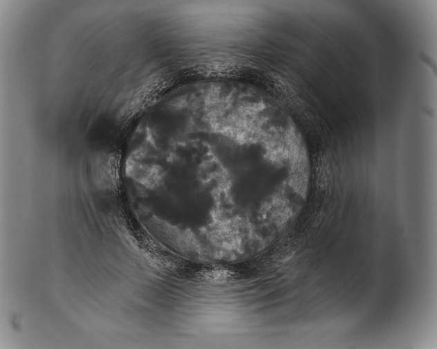 X0000102240695200808081436