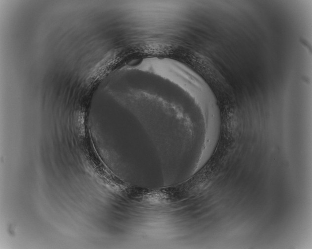 X0000102240696200808081436