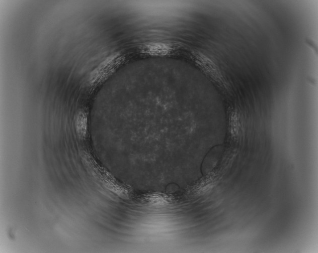 X0000102240697200808081436