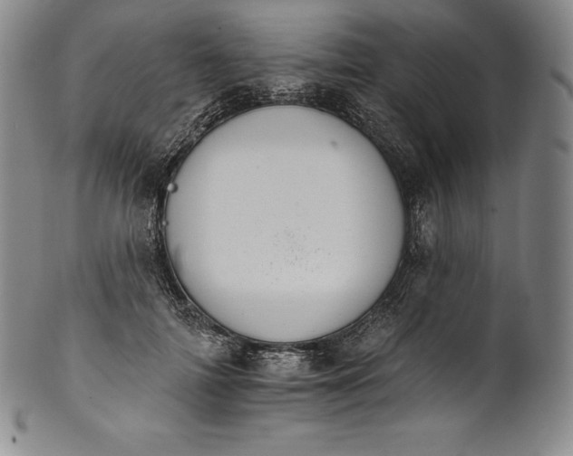 X0000102240698200808081436