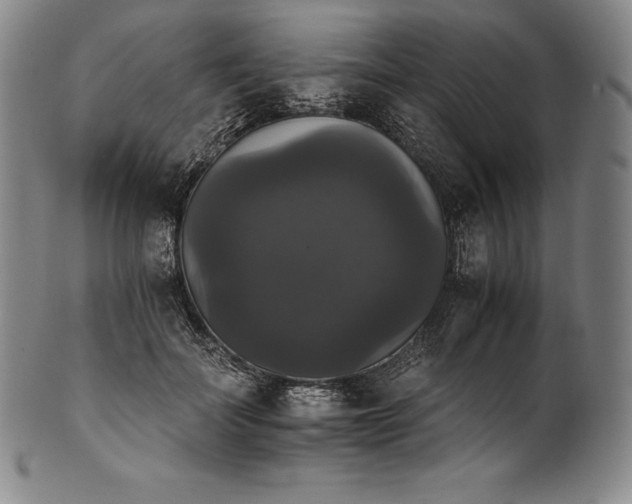 X0000102240699200808081436