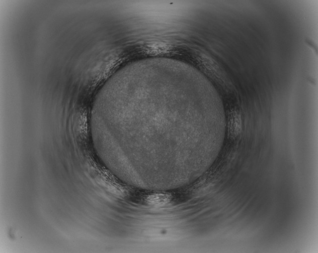 X0000102240700200808081436