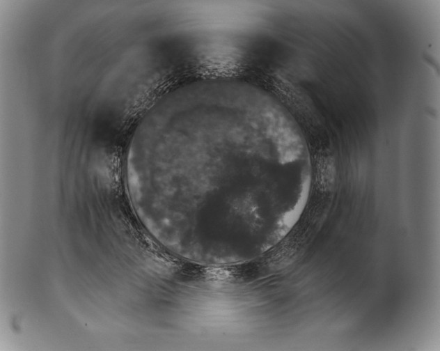 X0000102240701200808081436