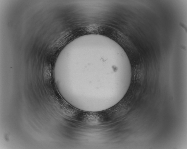 X0000102240702200808081436