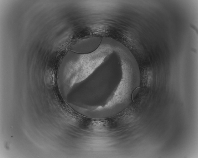 X0000102240703200808081436