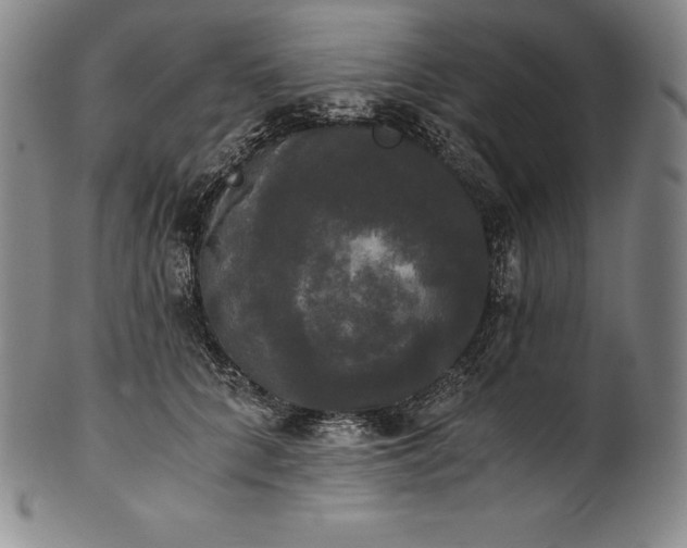 X0000102240704200808081436