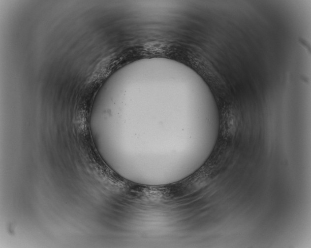 X0000102240706200808081436