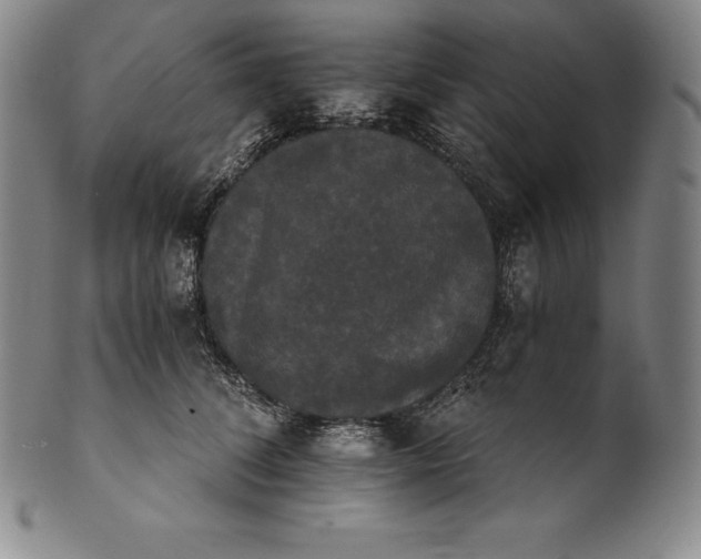 X0000102240708200808081436