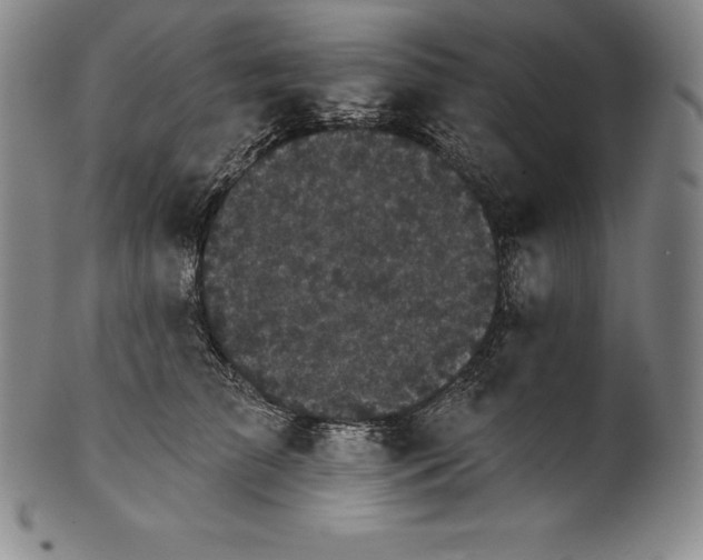 X0000102240709200808081436