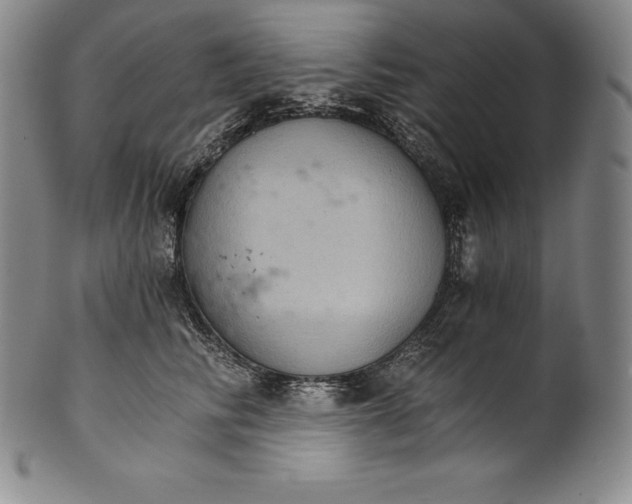 X0000102240710200808081436