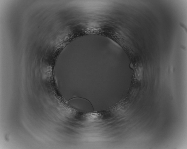 X0000102240711200808081436