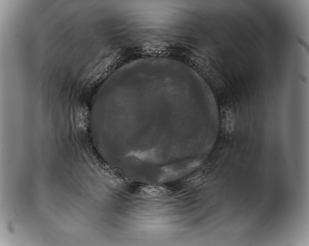 X0000102240712200808081436