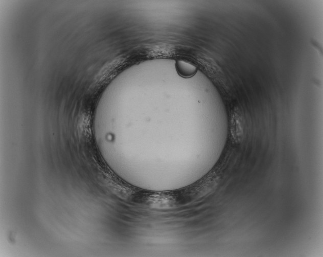 X0000102240714200808081436