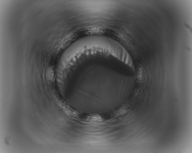 X0000102240715200808081436