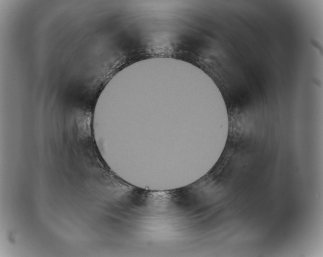 X0000102240717200808081436