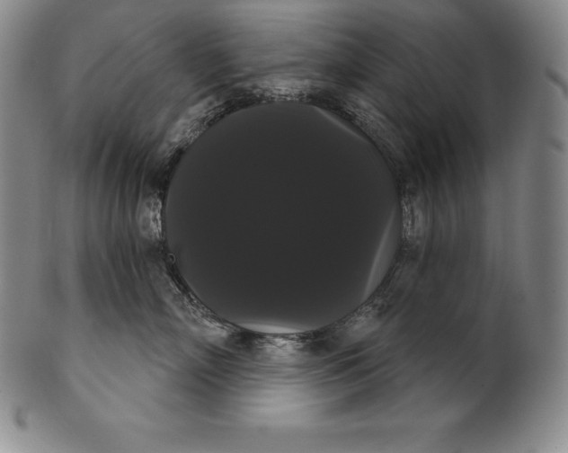 X0000102240718200808081436