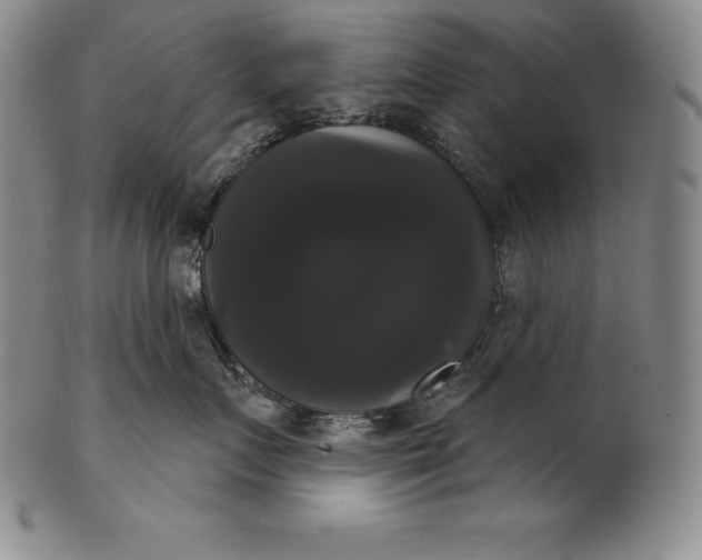 X0000102240719200808081436