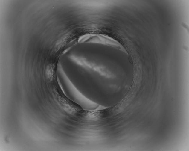 X0000102240720200808081436