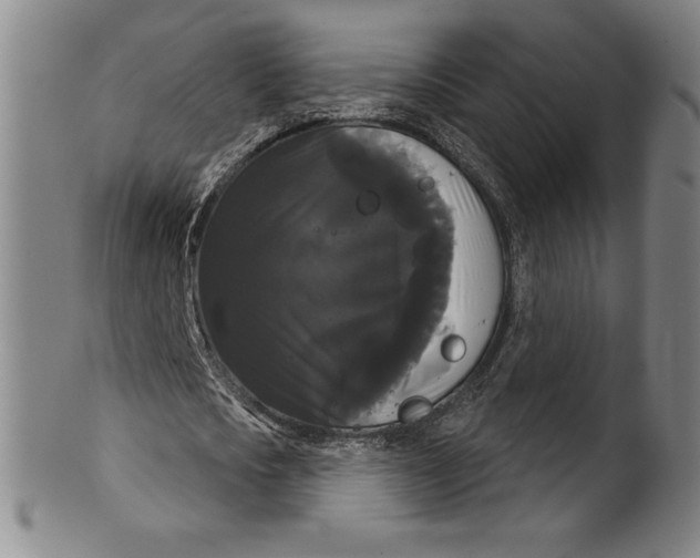 X0000102240721200808081435