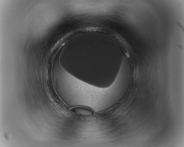 X0000102240722200808081435