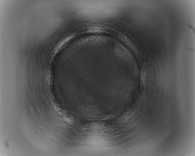 X0000102240724200808081435