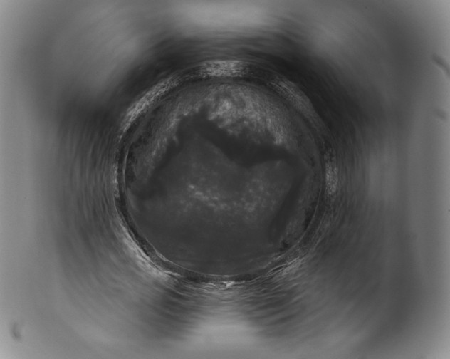 X0000102240725200808081435