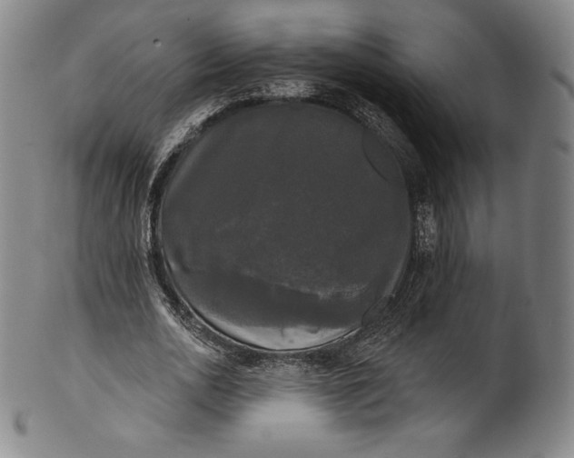 X0000102240726200808081435