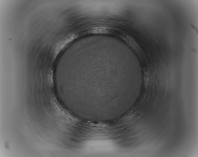 X0000102240727200808081435