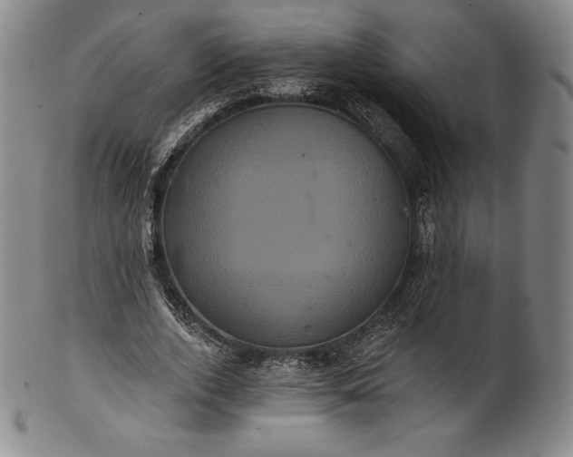 X0000102240728200808081435