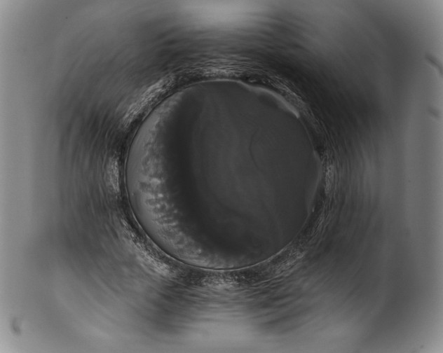 X0000102240729200808081435