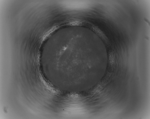 X0000102240730200808081435