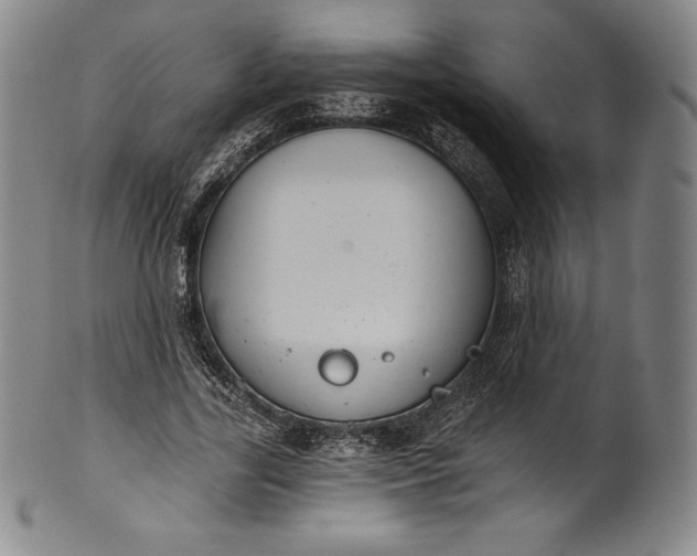 X0000102240731200808081435